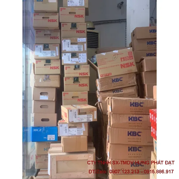 Bạc đạn NSK 6000–6010 ZZ, RS Nhật Bản