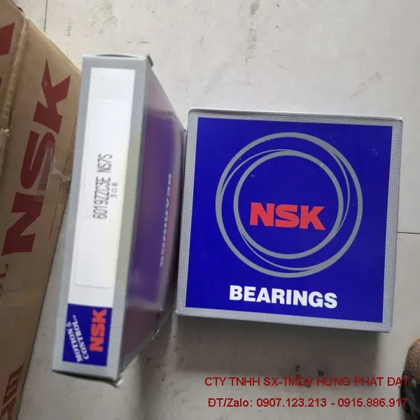 Bạc đạn NSK 6000–6010 ZZ, RS Nhật Bản