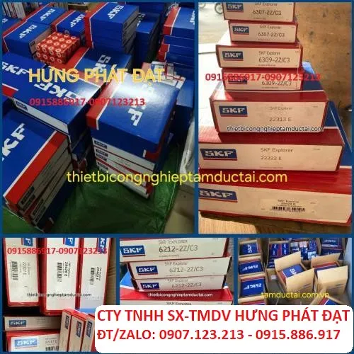 BẠC ĐẠN SKF 6019 CHÍNH HÃNG
