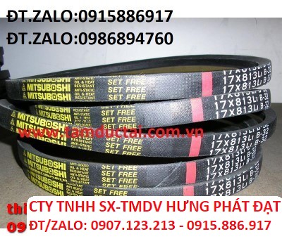 DÂY CUROA MITSUBOSHI C95