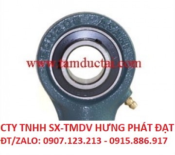 Gối đỡ BẠC ĐẠN UCECH ASAHI