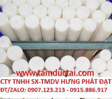 NHỰA PE TRÒN ĐẶC PHI 90