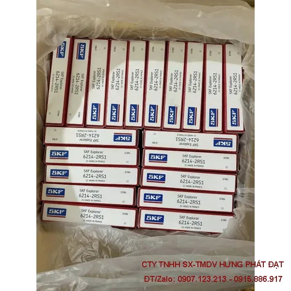 Vòng bi, bạc đạn SKF 6300–6310 2Z, 2RS1 chính hãng