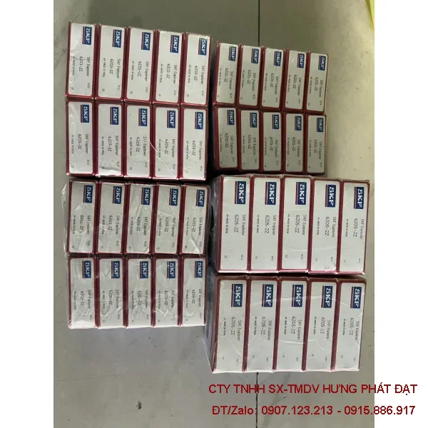 Vòng bi, bạc đạn SKF 6300–6310 2Z, 2RS1 chính hãng