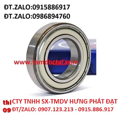BẠC ĐẠN NACHI 6014